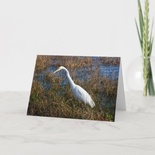 Egret Wenskaart Kaart (Voorkant)