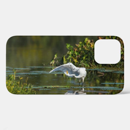 Egret Wing Exam iPhone Case (Achterkant (horizontaal))