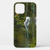 Egret Wing Exam iPhone Case (Achterkant)