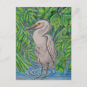 Egretvogel Briefkaart