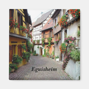 Eguisheim - magneet
