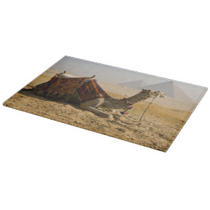 Egypte, Caïro. Een eenzame kameel Snijplank