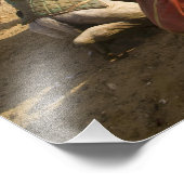 Egypte, Caïro. Rustende kamelen Foto Afdruk (Hoek)