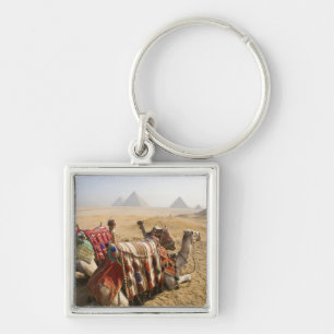 Egypte, Caïro. Rustende kamelen Sleutelhanger