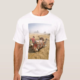 Egypte, Caïro. Rustende kamelen T-shirt