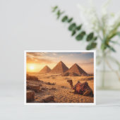 Égypte. Complexe pyramidal de Gizeh. Carte postale (Debout devant)