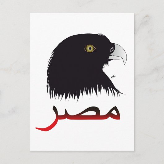 Égypte - Egypte Carte postale (Devant)