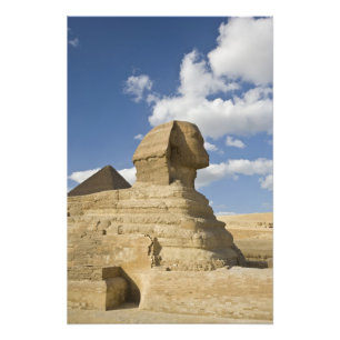 Egypte, Giza. De grote Sfinx verrijst boven de Foto Afdruk