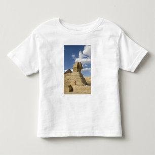 Egypte, Giza. De grote Sfinx verrijst boven de Kinder Shirts