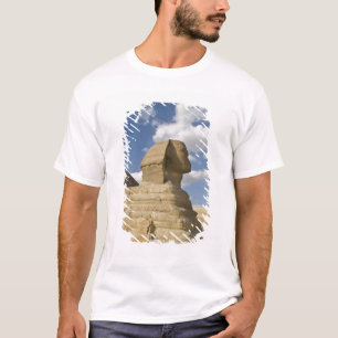 Egypte, Giza. De grote Sphynx stijgt boven de T-shirt