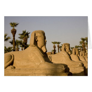 Égypte, Louxor. L'Allée des Sphinx mène à