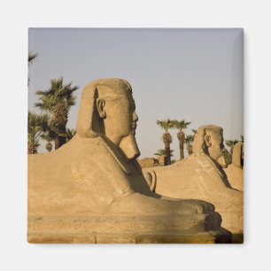 Egypte, Luxor. De Avenue Sphinxes leidt tot Magneet