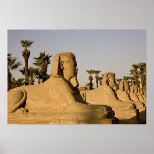 Egypte, Luxor. De Avenue Sphinxes leidt tot Poster