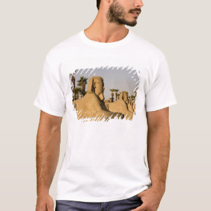 Egypte, Luxor. De Avenue Sphinxes leidt tot T-shirt
