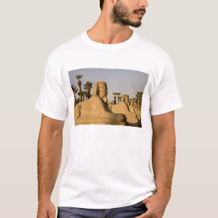 Egypte, Luxor. De Laan van Sfinxen leidt naar T-shirt