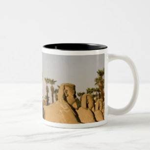 Egypte, Luxor. De Sfinxenlaan leidt naar Tweekleurige Koffiemok