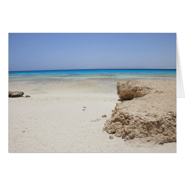 Egypte, rood Zee, Marsa Alam, Sharm El Luli, stran (Voorkant Horizontaal)