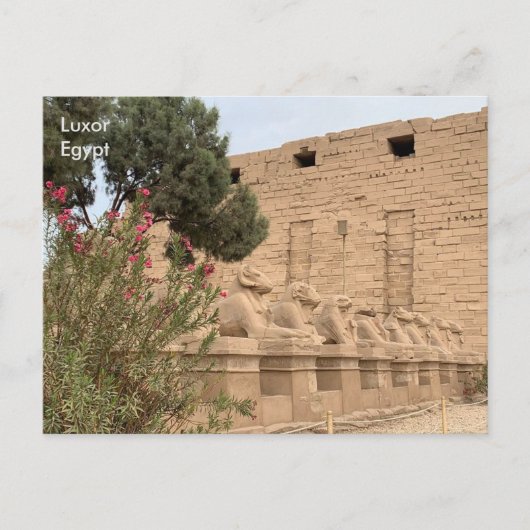 Egypte, Temple of Karnak, Luxor. Briefkaart (Voorkant)