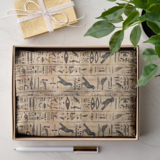 Egyptian hieroglyphics Birds Pattern 2 Tissuepapier (Geschenk)