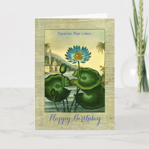 Egyptisch Blauwe Lotus Bloem Groene Bladeren Kaart