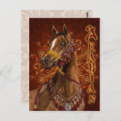 Egyptisch Dream Arabian horse briefkaart (Voorkant / Achterkant)