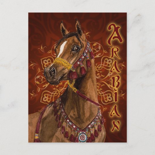 Egyptisch Dream Arabian horse briefkaart (Voorkant)
