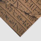 Egyptisch Hieroglyphics-weefselboek Tissuepapier (Detail)