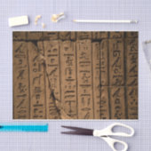 Egyptisch Hieroglyphics-weefselboek Tissuepapier (Craft)