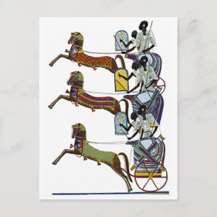 Egyptisch siernet #2 op Emporio Moffa Briefkaart