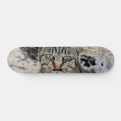 Egyptisch skateboard (Horizontaal)