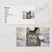 Egyptisch Visitekaartje voor kat (Voorkant / Achterkant)