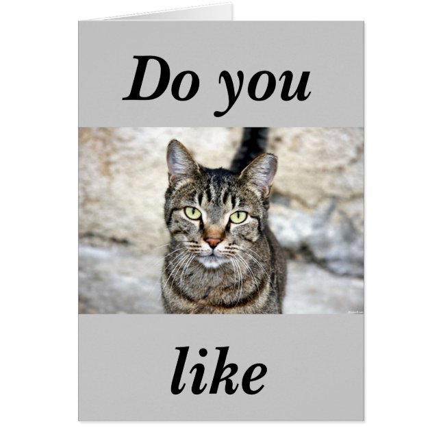 Egyptische kat (Voorkant)