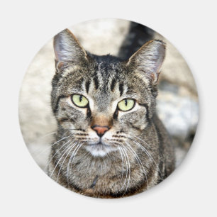 Egyptische kat magneet