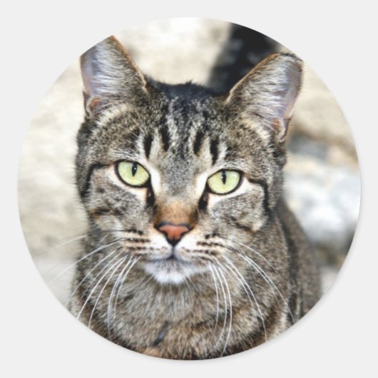 Egyptische kat ronde sticker (Voorkant)