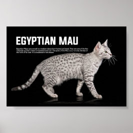 Egyptische Mau Cat Breed Poster