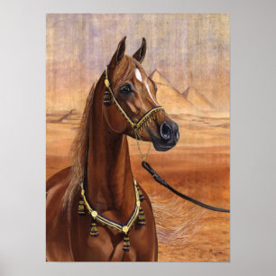 Egyptische prinses Arabian horse poster ALL SIZES