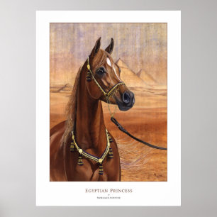Egyptische prinses Arabian horse poster ALL SIZES