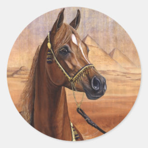 Egyptische prinses Arabisch paard stickers