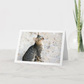 Egyptische Wilde Kitten Kaart (Voorkant)