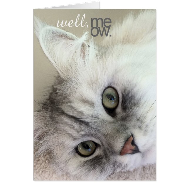 Eh Bien, Meow There Multi-Occasion Card (Devant)