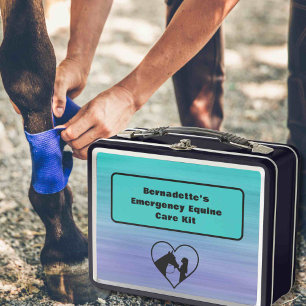  EHBO-Noodcontainer voor paardachtigen