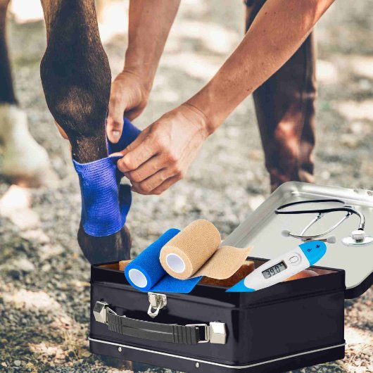 EHBO-Noodcontainer voor paardachtigen