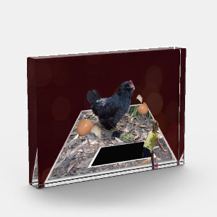 Ei-cellent Feast: Giant Chicken's Pop-Out Ontwerp Fotoblokken