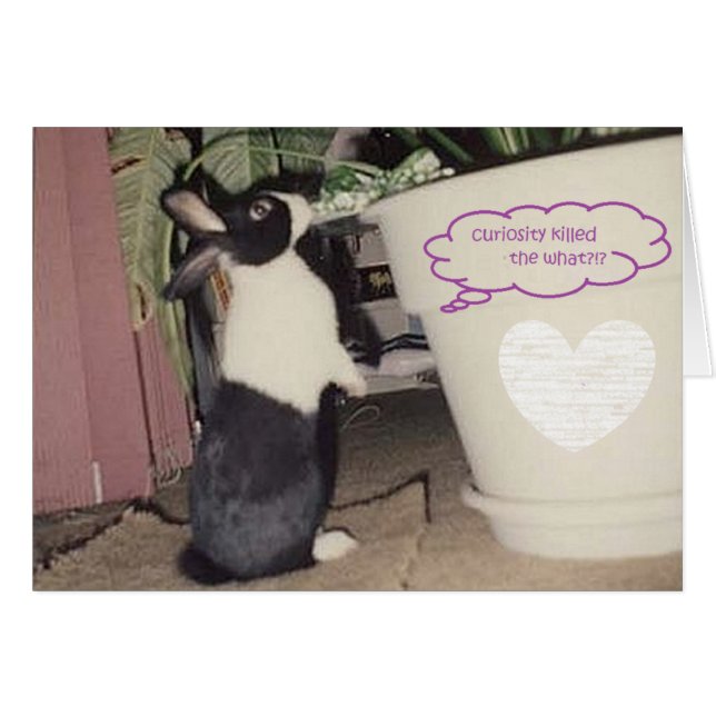 eicel door vreewillow (Voorkant Horizontaal)