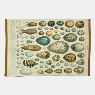 Eieren antieke natuurlijke historie illustratie mi theedoek