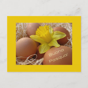 Eieren- en daffodilesgroet - italiaans feestdagenkaart