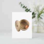 Eieren in de mand briefkaart (Staand voorkant)