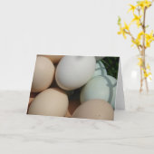 Eieren Kaart (Gele Bloem)