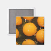 Eieren Magneet (Voorkant / Achterkant)