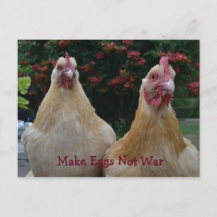 Eieren maken geen oorlog... Buff Orpington Hens Br Briefkaart